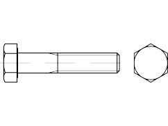 ISO 4014, 8.8, M 6 x 55, Zn 8µm