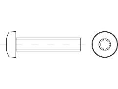 ~DIN 7985, 4.8, M 2.5 x 12, TX8, Zn